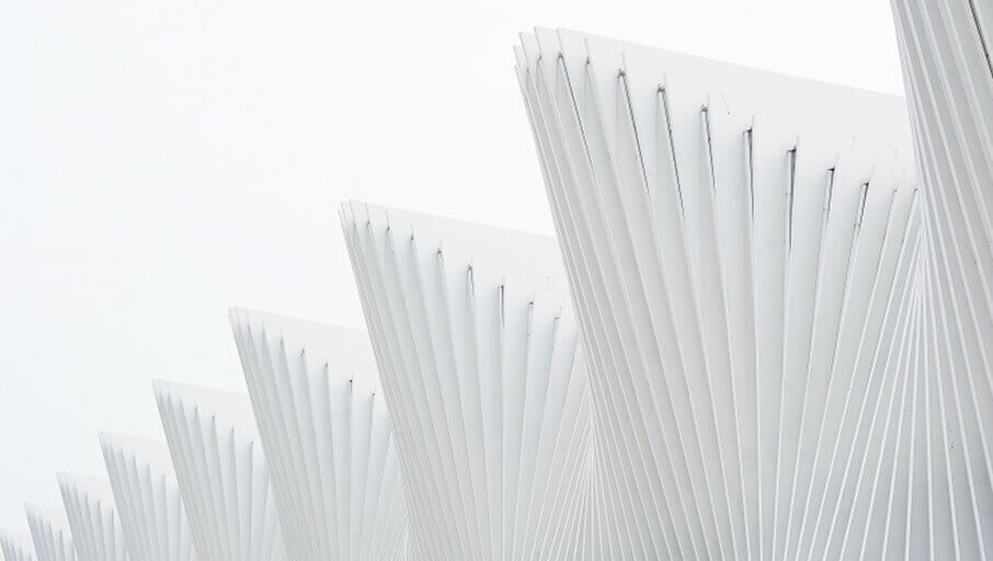 Privacy Policy Seek Fanatic